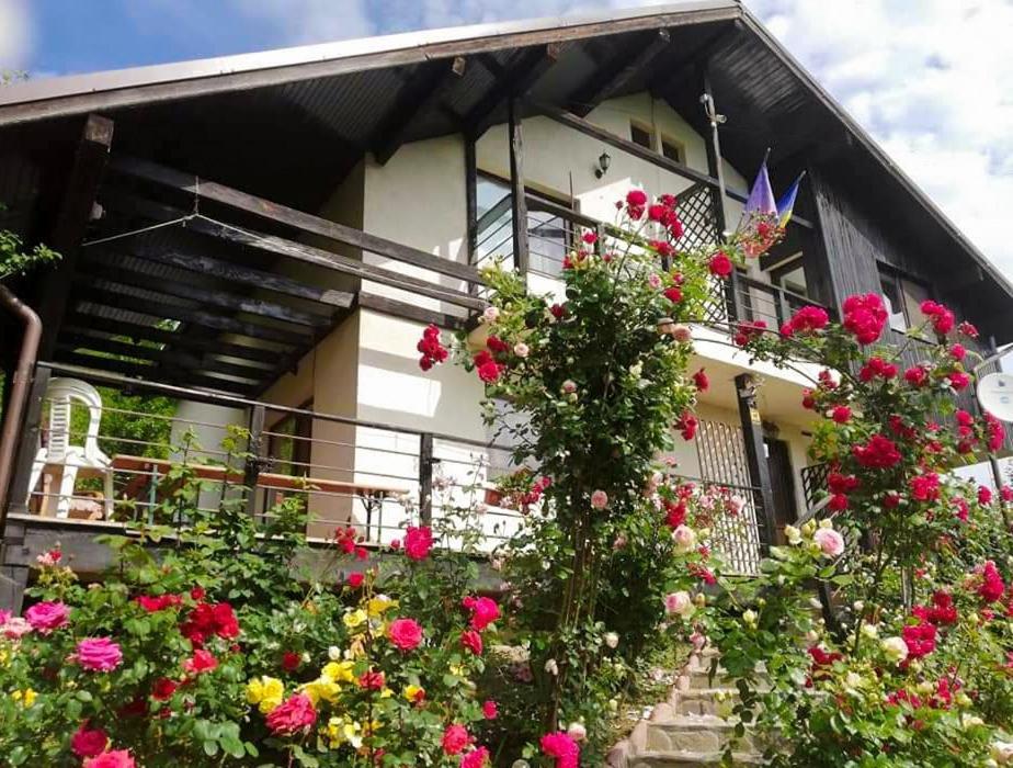 Casuta Cu Trandafiri Hotel Slanic Exterior photo